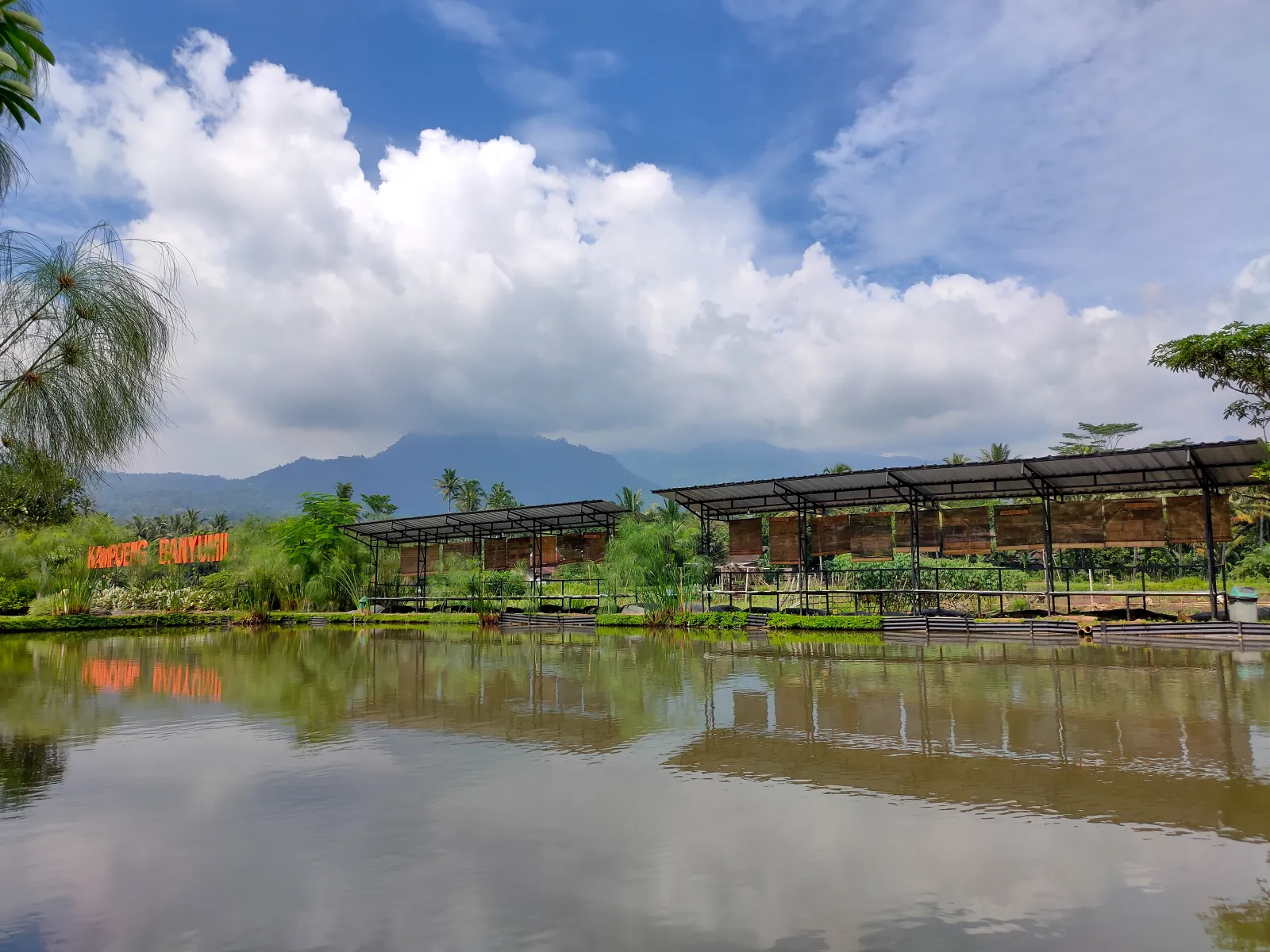 Saung Pancing